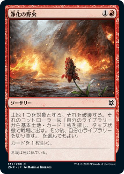 画像1: 《Foil》Cleansing Wildfire/浄化の野火《137》 (1)