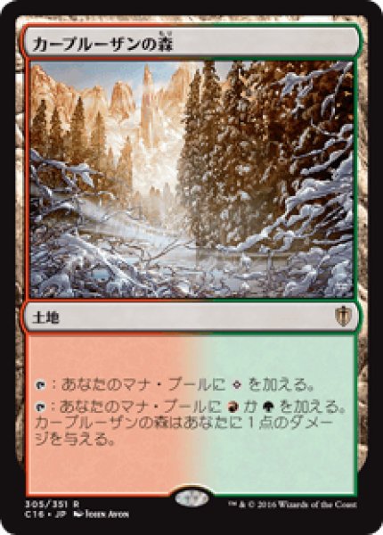 画像1: Karplusan Forest/カープルーザンの森 (1)