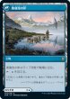 画像2: Glasspool Mimic/玻璃池のミミック《060》 (2)