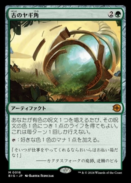 画像1: Ancient Cornucopia/古のヤギ角《016》 (1)