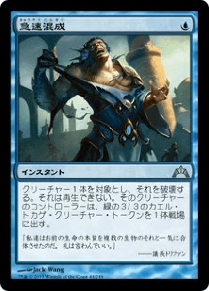 画像1: Rapid Hybridization/急速混成 (1)