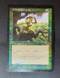 画像1: 《実物写真掲載商品》《Foil》Seeker of Skybreak/天光を求める者《状態:HP》 #1160 (1)