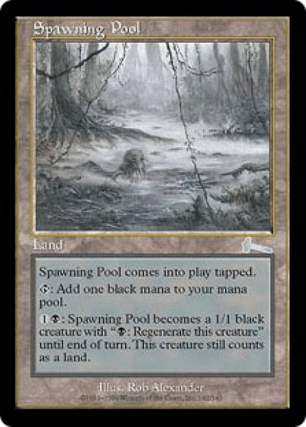 画像1: 《Foil》Spawning Pool/産卵池 (1)