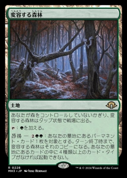 画像1: 《Foil》Shifting Woodland/変容する森林《228》 (1)